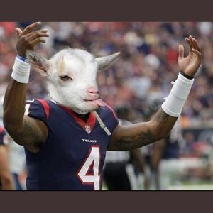 Meet your Posher, Ian